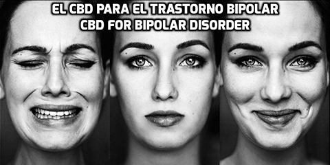Lee más sobre el artículo EL CBD para el Trastorno Bipolar