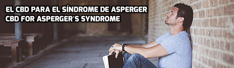 Lee más sobre el artículo El CBD para el Síndrome de Asperger