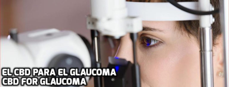 Lee más sobre el artículo El CBD para el Glaucoma