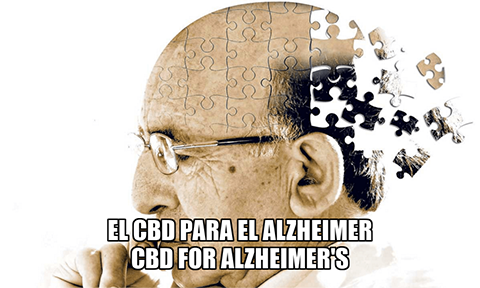 En este momento estás viendo El CBD para el Alzheimer