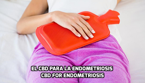 Lee más sobre el artículo El CBD para la Endometriosis