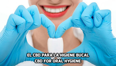Lee más sobre el artículo El CBD para la Higiene Bucal