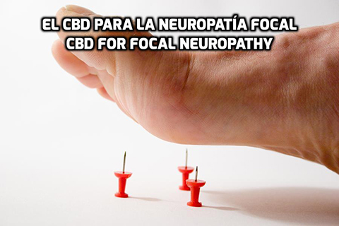 Lee más sobre el artículo El CBD para la Neuropatía Focal