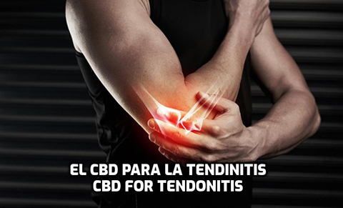 Lee más sobre el artículo El CBD para la Tendinitis