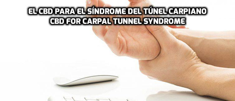Lee más sobre el artículo El CBD para el Síndrome del Túnel Carpiano