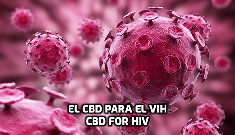 Lee más sobre el artículo El CBD para el VIH