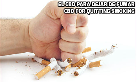 Lee más sobre el artículo El CBD para Ayudar a dejar de Fumar