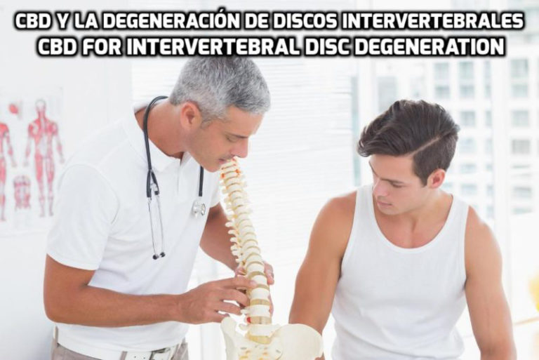 Lee más sobre el artículo El CBD para la Degeneración de Discos Intervertebrales