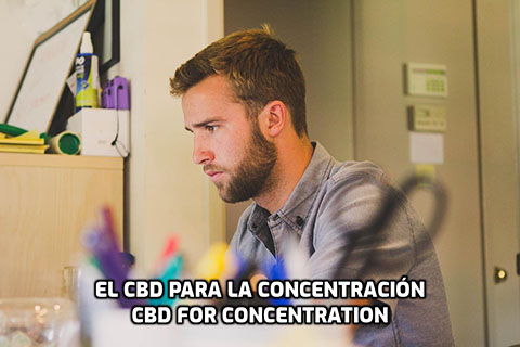 Lee más sobre el artículo El CBD para la Concentración