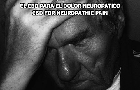 En este momento estás viendo El CBD para el Dolor Neuropático