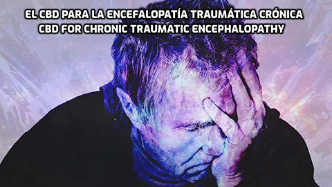 En este momento estás viendo El CBD para la encefalopatía traumática crónica