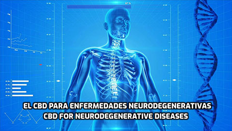 En este momento estás viendo El CBD para enfermedades Neurodegenerativas