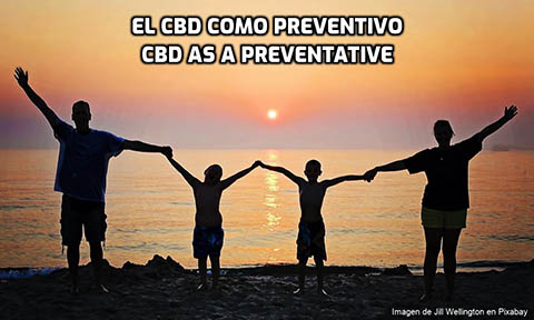 Lee más sobre el artículo El CBD como Preventivo
