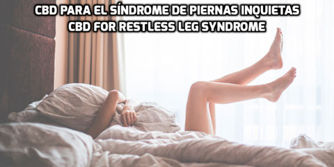 Lee más sobre el artículo El CBD para el Síndrome de Piernas Inquietas