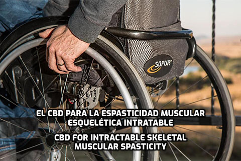 Lee más sobre el artículo El CBD para la espasticidad muscular esquelética intratable