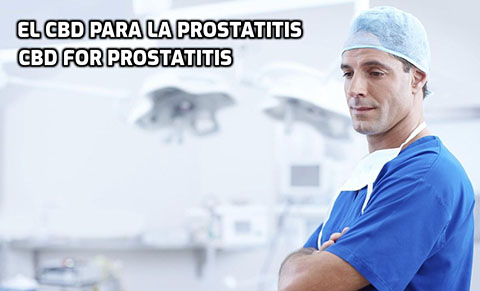 Lee más sobre el artículo El CBD para la Prostatitis